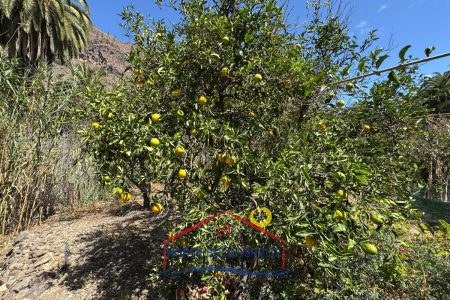Terreno rústico con potencial en Fataga, Gran Canaria