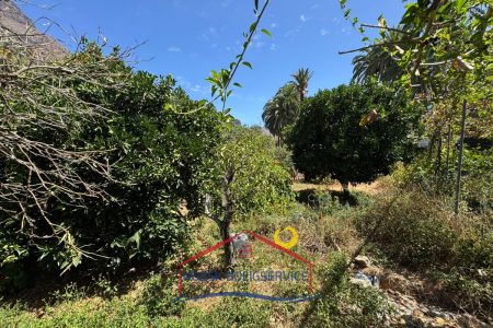 Terreno rústico con potencial en Fataga, Gran Canaria
